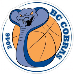 Schoten-Brasschaat DSE A-team-logo
